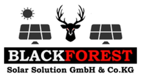 BLACKFOREST Solar Solution GmbH & Co. KG Logo (DPMA, 01/09/2024)