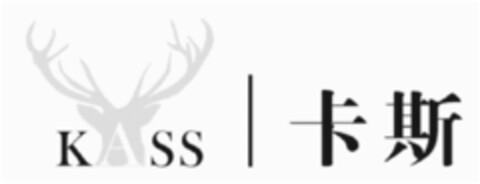 KASS Logo (DPMA, 06.05.2013)