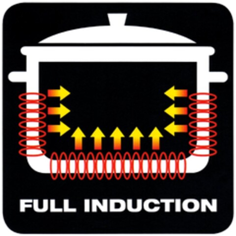 FULL INDUCTION Logo (DPMA, 07.08.2014)