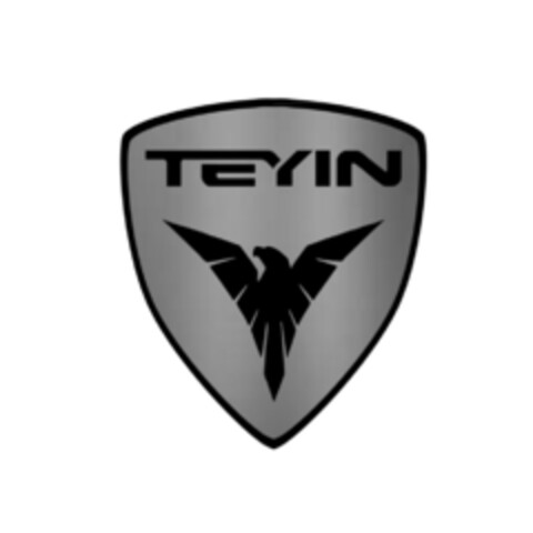 TEYIN Logo (DPMA, 04.02.2019)