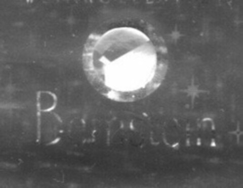 Bernstein Logo (DPMA, 02/25/2003)