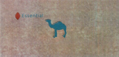 Essential Logo (DPMA, 10/07/2010)