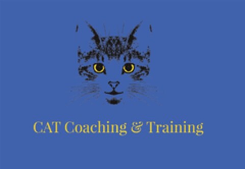 CAT Coaching & Training Logo (DPMA, 01/18/2016)