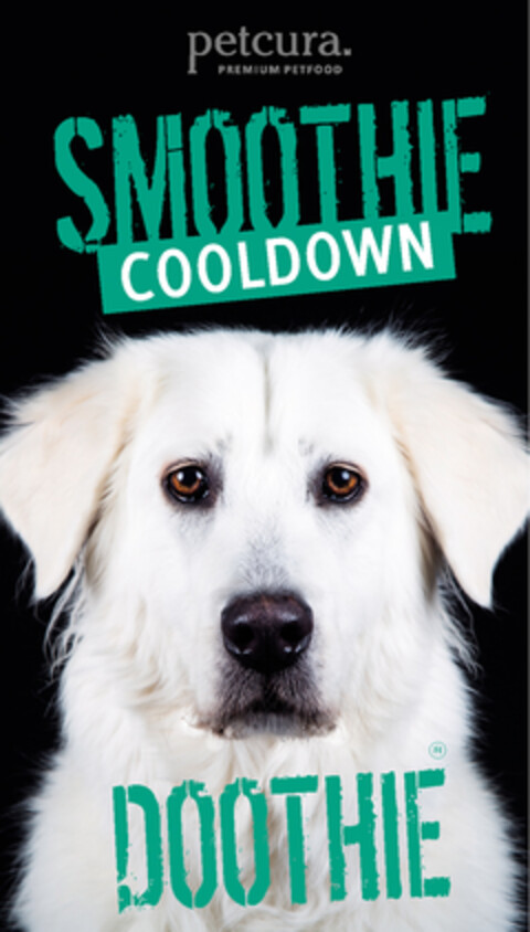 petcura. PREMIUM PETFOOD SMOOTHIE COOLDOWN DOOTHIE Logo (DPMA, 08.01.2019)