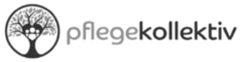 pflegekollektiv Logo (DPMA, 15.07.2020)