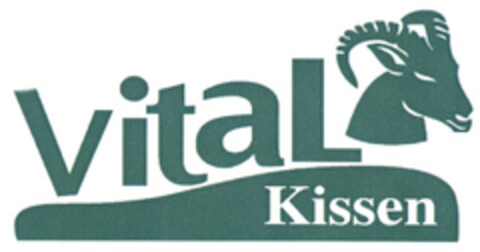 vital Kissen Logo (DPMA, 06.03.2010)