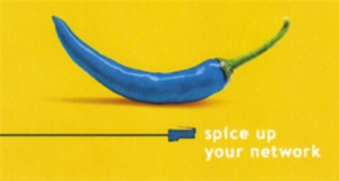 spice up your network Logo (DPMA, 11/01/2013)