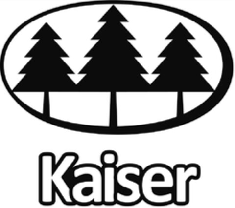 Kaiser Logo (DPMA, 12/22/2015)