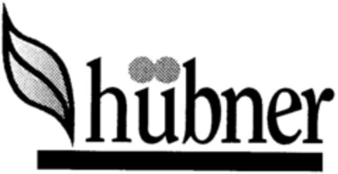 hübner Logo (DPMA, 09.05.1996)