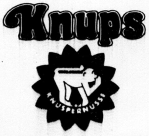 Knups KNUSPERNUSSI Logo (DPMA, 14.02.1990)