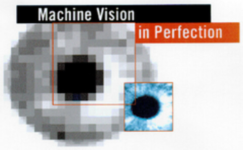 Machine Vision in Perfection Logo (DPMA, 07.11.2000)