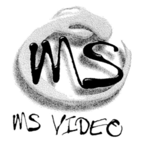 MS VIDEO Logo (DPMA, 28.12.2001)