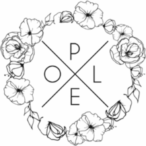 P O L E Logo (DPMA, 11/03/2020)