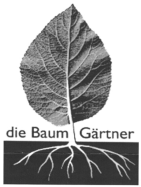 die Baum Gärtner Logo (DPMA, 02/01/2010)