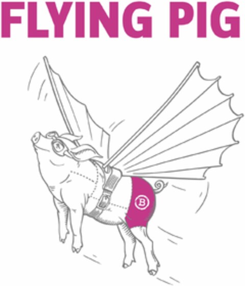 FLYING PIG Logo (DPMA, 10.02.2021)