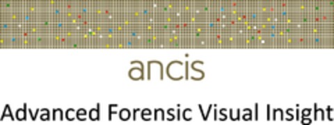 ancis Advanced Forensic Visual Insight Logo (DPMA, 12/06/2017)