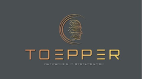 TOEPPER NETWORKS & IT-SYSTEMS GMBH Logo (DPMA, 22.11.2022)