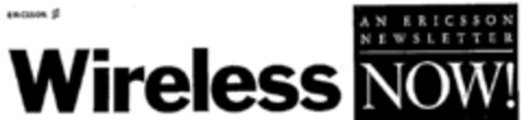 Wireless  NOW! Logo (DPMA, 16.02.1996)