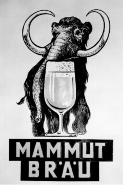 MAMMUT BRÄU Logo (DPMA, 14.02.1955)