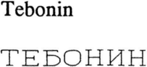 Tebonin Logo (DPMA, 02/02/1994)