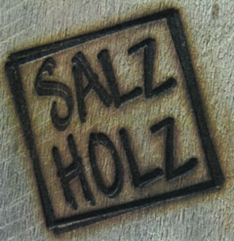 SALZ HOLZ Logo (DPMA, 05/21/2011)