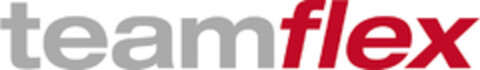 teamflex Logo (DPMA, 17.07.2020)