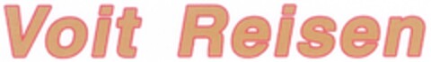 Voit Reisen Logo (DPMA, 09.01.2007)