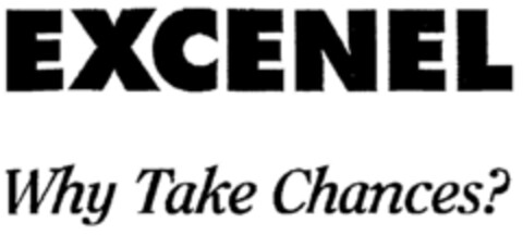 EXCENEL Why Take Chances? Logo (DPMA, 02.03.1999)