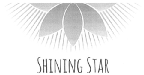 SHINING STAR Logo (DPMA, 16.06.2015)