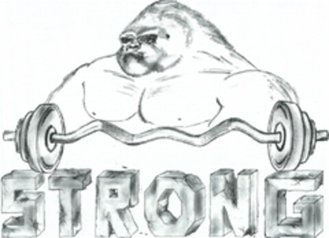 STRONG Logo (DPMA, 01/14/2016)