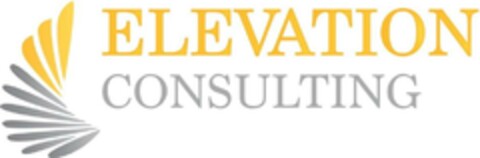 ELEVATION CONSULTING Logo (DPMA, 04/15/2018)