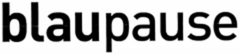 blaupause Logo (DPMA, 29.06.2005)