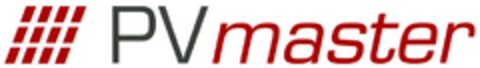 PVmaster Logo (DPMA, 04/30/2008)