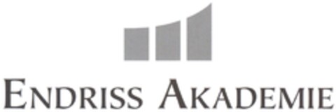 ENDRISS AKADEMIE Logo (DPMA, 14.01.2014)