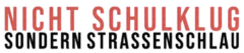 NICHT SCHULKLUG SONDERN STRASSENSCHLAU Logo (DPMA, 08/26/2021)