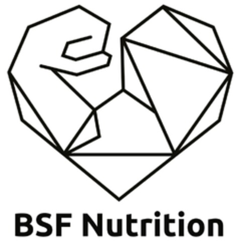 BSF Nutrition Logo (DPMA, 11.12.2017)