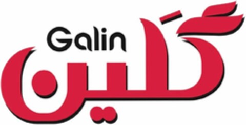 Galin Logo (DPMA, 06.05.2020)