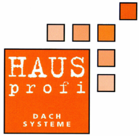 HAUS profi DACHSYSTEME Logo (DPMA, 14.05.1999)