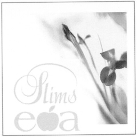 Slims e a Logo (DPMA, 02.02.2007)