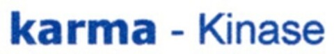 karma - Kinase Logo (DPMA, 10.05.2011)