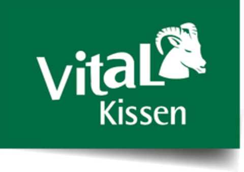 VitaL Kissen Logo (DPMA, 18.10.2023)