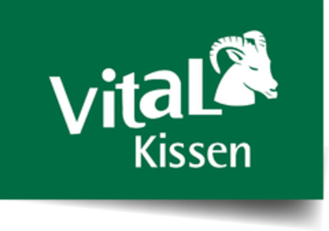 VitaL Kissen Logo (DPMA, 10/18/2023)