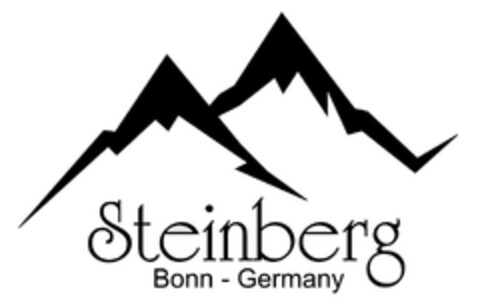 Steinberg Bonn - Germany Logo (DPMA, 20.06.2017)