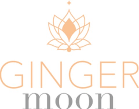 GINGER moon Logo (DPMA, 09.02.2024)