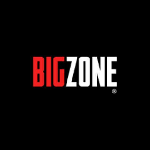 BIGZONE Logo (DPMA, 25.02.2025)