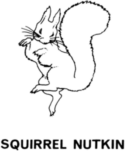 SQUIRREL NUTKIN Logo (DPMA, 28.10.1991)