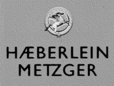 Haeberlein Metzger Logo (DPMA, 02/28/2000)