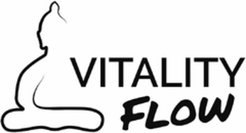 VITALITY FLOW Logo (DPMA, 19.02.2020)
