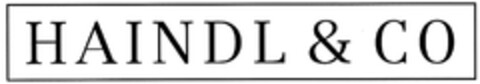 HAINDL & CO Logo (DPMA, 21.11.2007)