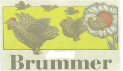 Brummer Logo (DPMA, 12.09.1995)
